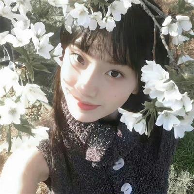 胭脂虎新传